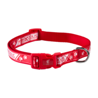 closeout red dog collar